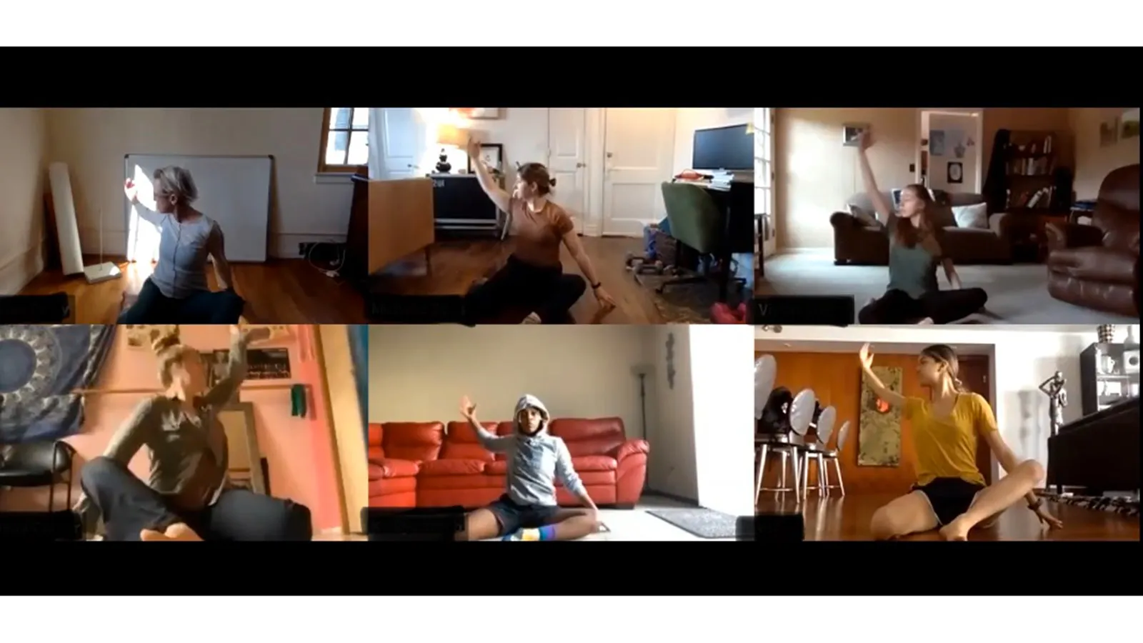 Susan Van Pelt Petry teaching movement practice on Zoom.